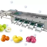 Machine automatique de tri et de classement des fruits