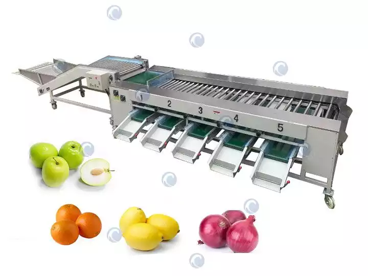 Automatic Fruit Sorting and Grading Machine