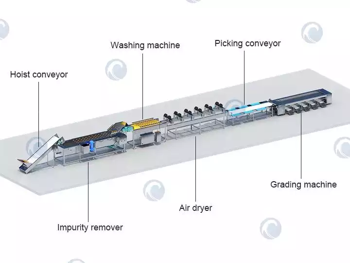 Structure-diagram-of-vegetable-washing-drying-grading-line