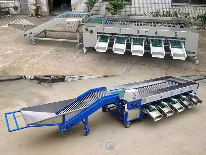 Automatic fruit sorting and grading machine