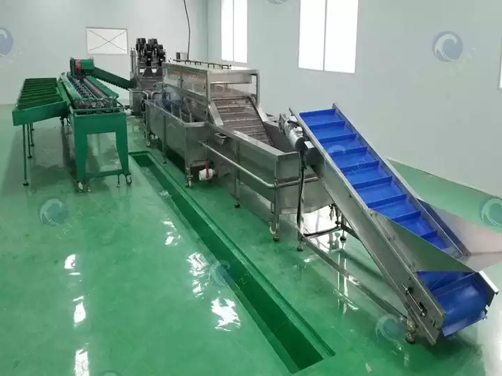 Complete-vegetable-washing-drying-grading-line