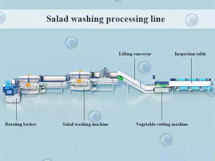 Complete vortex washing packing plant