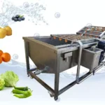 fruit and vegetable cleaning machine