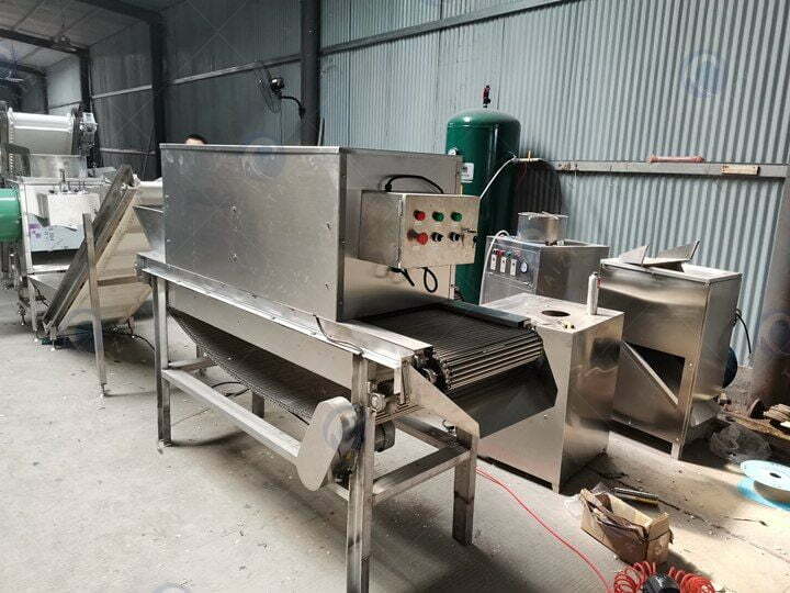 Garlic-processing-equipment-in-taizy-factory