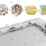 garlic processing plant