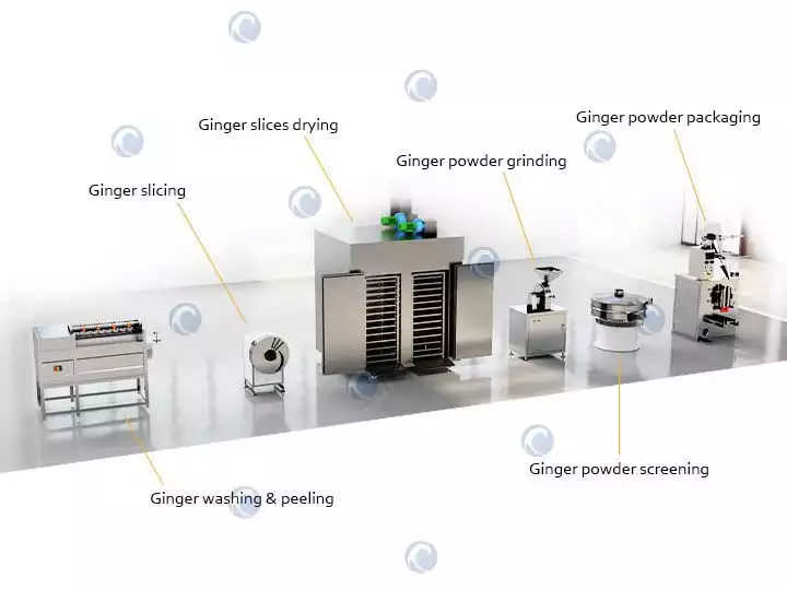 Ginger powder processing plant1