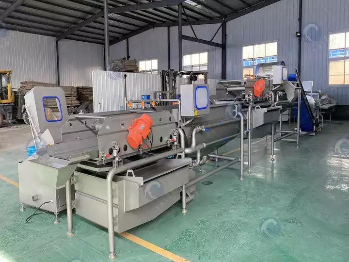 Industrial vegetable salad production line factory