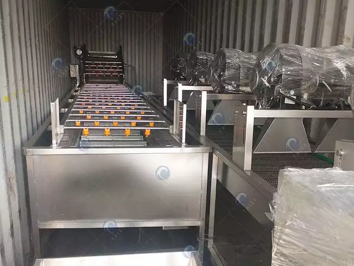 Tomato washing machine loading and delivery