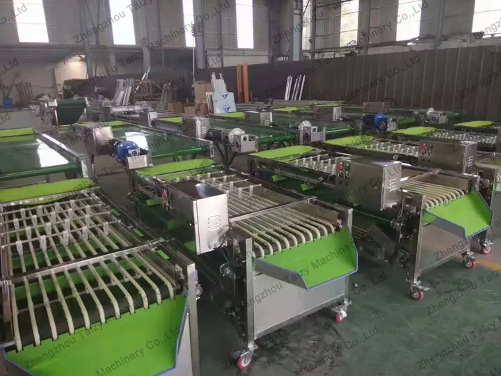 Jujube processing factory