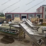 Jujube Grader Machine