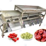 Jujube Grader Machine