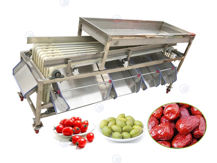 Jujube Grader Machine