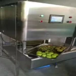 apple peeler is processing kiwis