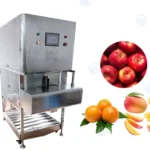 apple peeling machine