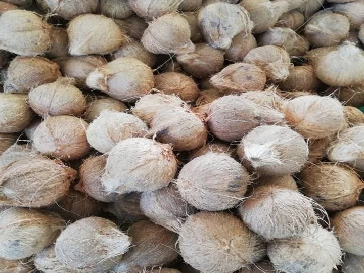 Peeled coconuts