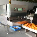 l'éplucheur de pommes peut éplucher les oranges