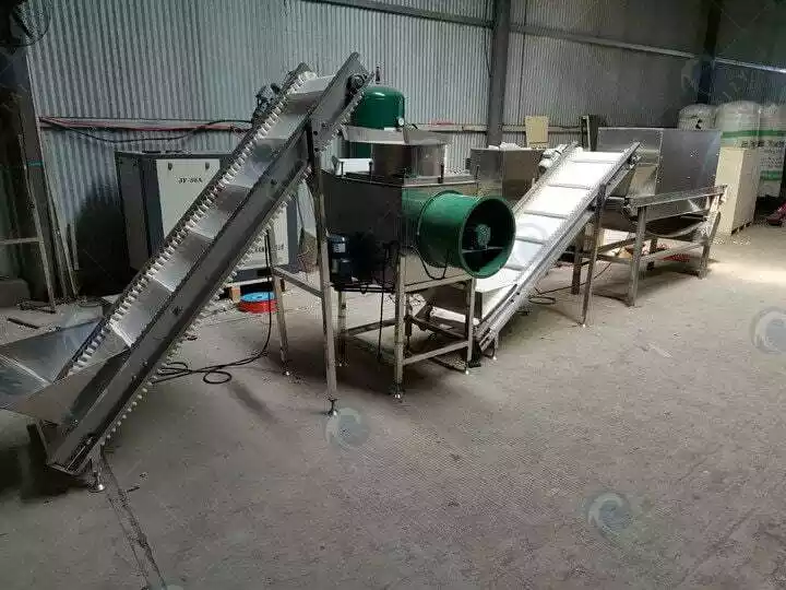 Continuous garlic splitting peeling plant