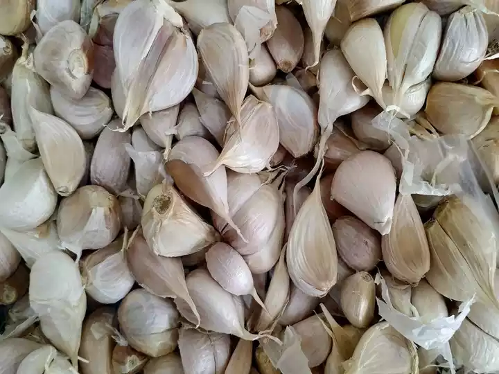 Finished garlic cloves