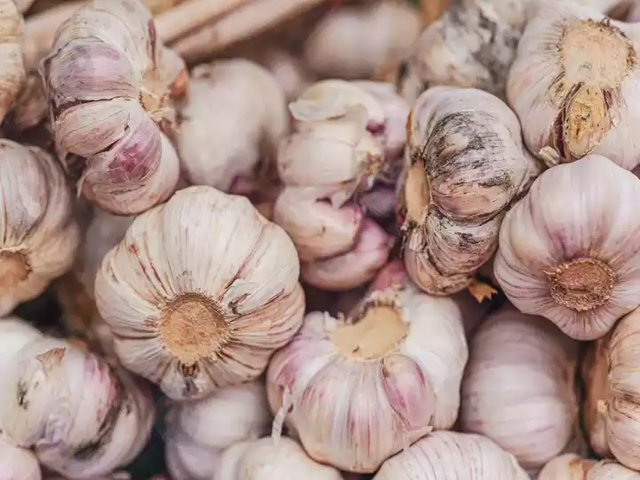 Garlic to be separated